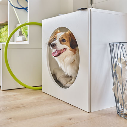 Armoire pour les animaux Young Users Arrangement