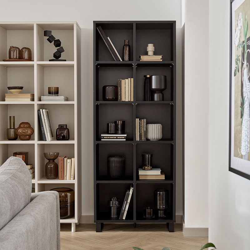 Double bookcase 2x5 Simple arrangement